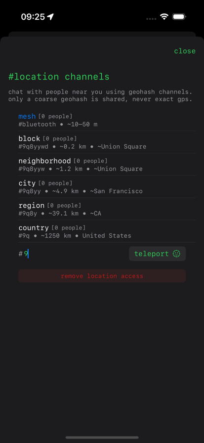 中国社交闯北美：选择远大于努力