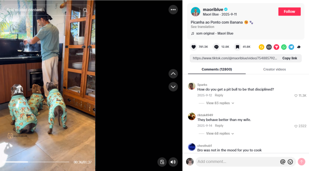 半年吸金3.8亿，这个小众赛道太暴利