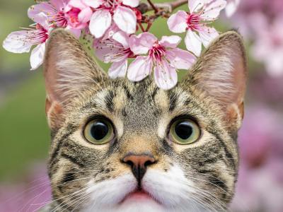 超详细！一件包裹从国内到日本海外仓“全流程+费用”，一看就懂