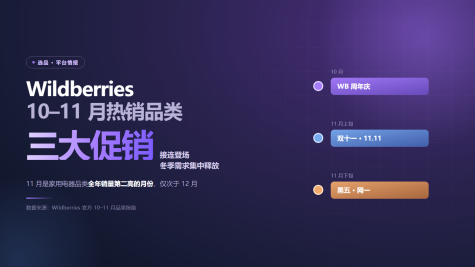 Wildberries10-11月热销品类推荐