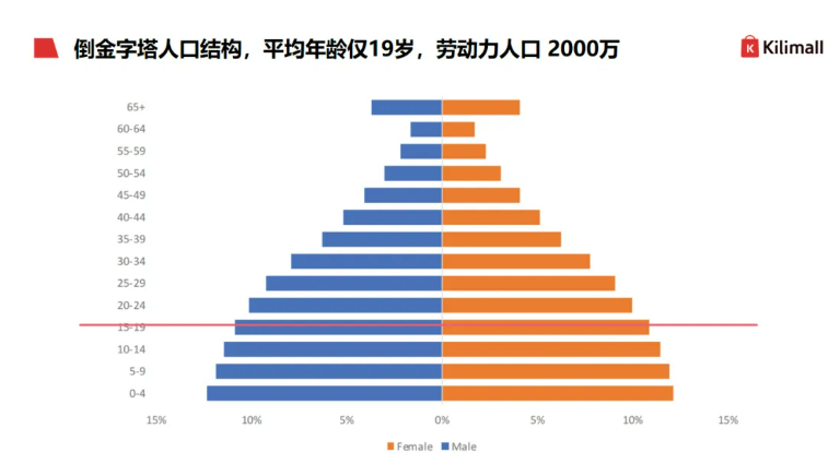 肯尼亚市场深度分析:5大投资优势及电商机遇