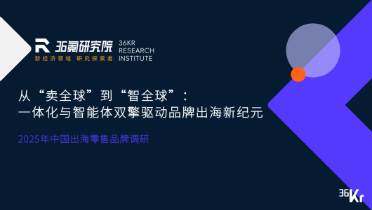 2025年中国出海零售品牌调研报告