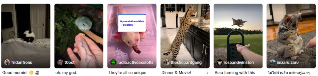 最“无用”的商品，最暴利的生意