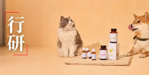 东方草本+现代科技：LitPet如何用“养疗合一”撬动欧美宠物300亿市场？