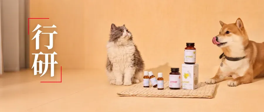 东方草本+现代科技：LitPet如何用“养疗合一”撬动欧美宠物300亿市场？