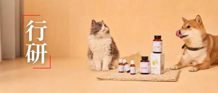 东方草本+现代科技：LitPet如何用“养疗合一”撬动欧美宠物300亿市场？