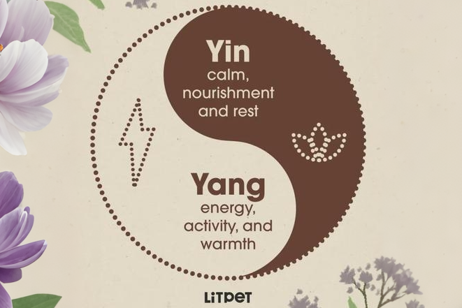 东方草本+现代科技：LitPet如何用“养疗合一”撬动欧美宠物300亿市场？