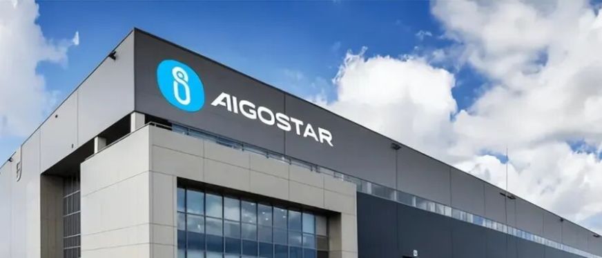 福州跨境隐形冠军爱购年入14.8亿,靠灯泡插座打入欧洲万家小店