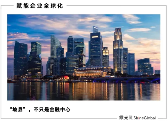 从霉霉到泡泡岛：新加坡如何用文化补贴撬动百亿市场