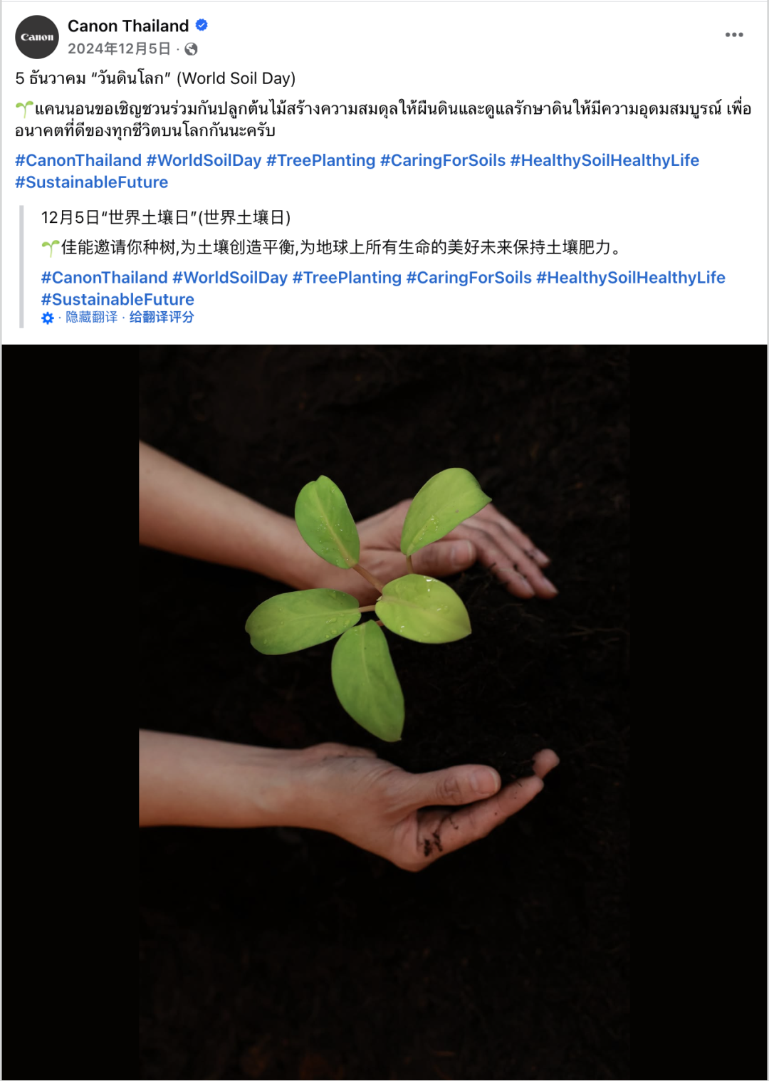 从可口可乐到BMW：全球品牌的12月情感营销密码