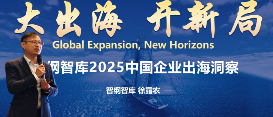 大出海，开新局：2025中国企业出海洞察