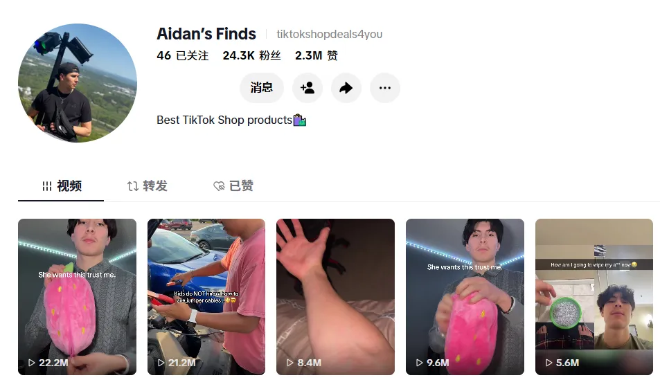 图片 年销310万美金,毛利率73%!给狗狗特制的汽车坐垫火了!