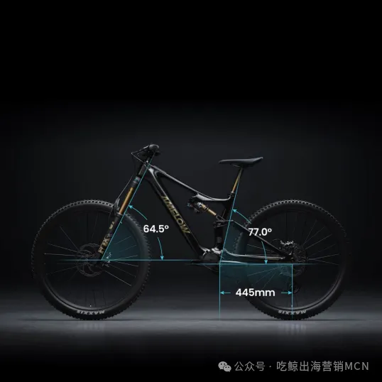 图片 一辆自行车卖4万,营收破10亿:大疆系Amflow如何打赢出海高端局?