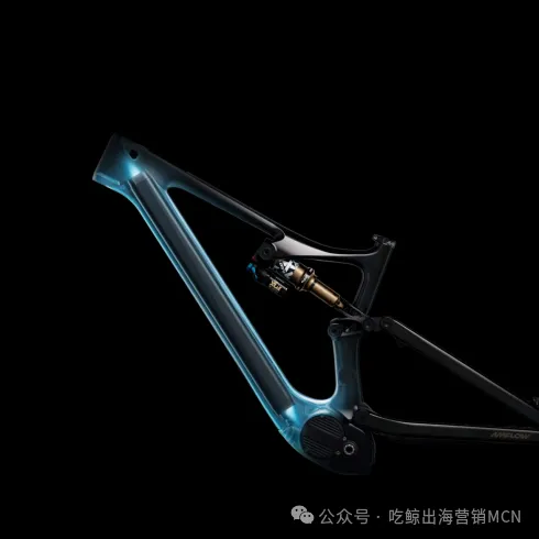 图片 一辆自行车卖4万,营收破10亿:大疆系Amflow如何打赢出海高端局?