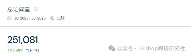 女大学生毕业靠卖饰品，独立站年入百万