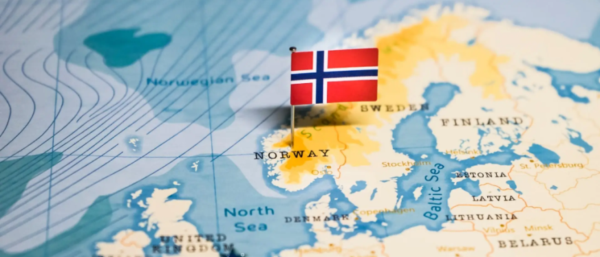 2025年挪威宠物行业概览:最新统计数据与趋势