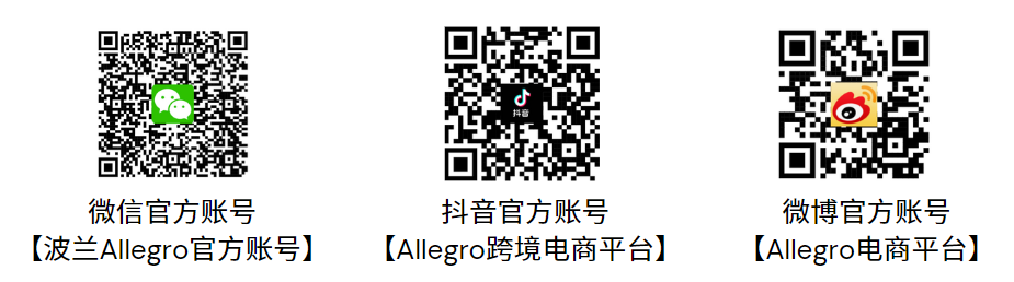 【2024年更新版本】Allegro企业账户注册流程指南