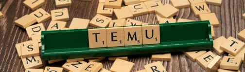 Temu化妆品资质如何上传？Temu平台MSDS-Chemicals资质上传流程详解