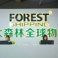 头部物流企业+多网点就近入仓，通往欧美日