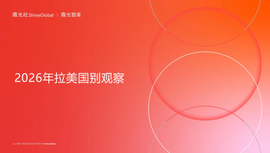 2026年拉美国别观察