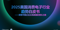 2025美国消费电子行业趋势白皮书