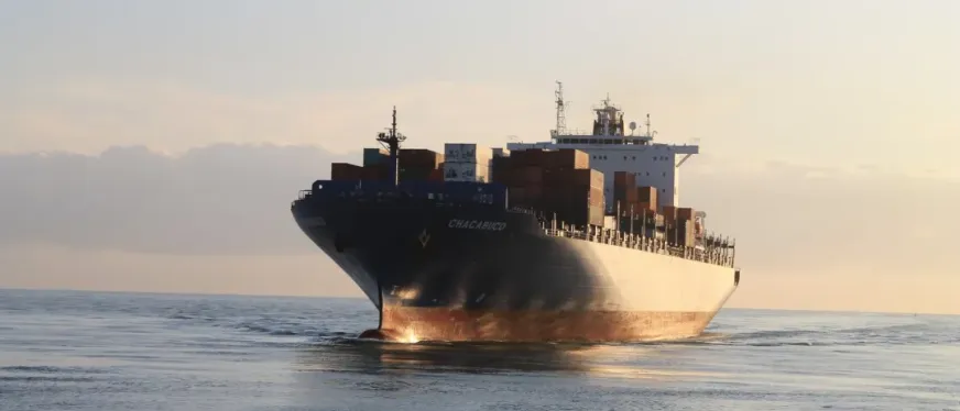 中国出口在关税风浪中增长5.6%,集装箱订舱量持续爆满