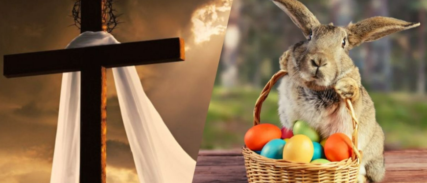 解压玩具屠榜TikTok!多款产品强势爆单!