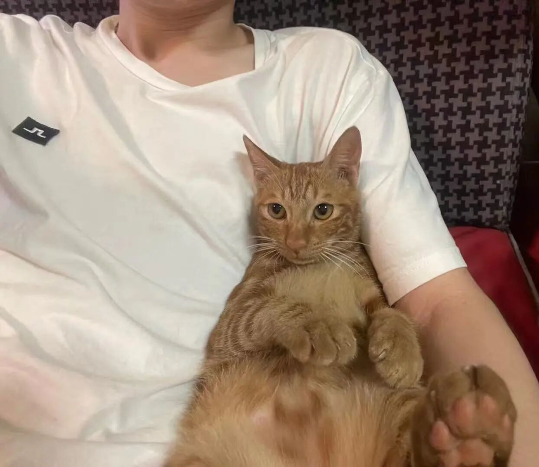 95后南漂小伙因为“丑”年入3000万