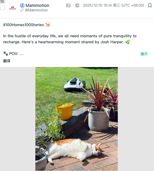 出口狂涨 32%!全球第一库犸与割草机出海丨BrandOS出海榜单