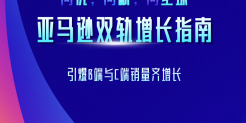 亚马逊双轨增长指南