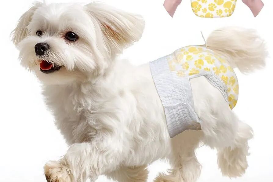 图片 19%市占率!深圳宠物尿布靠“好闻好看”征服北美