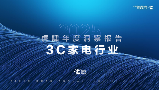 2025虎啸年度洞察报告：3C家电行业
