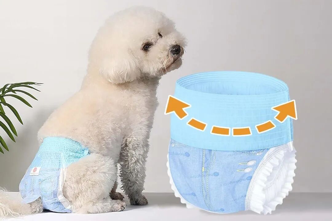 图片 19%市占率!深圳宠物尿布靠“好闻好看”征服北美