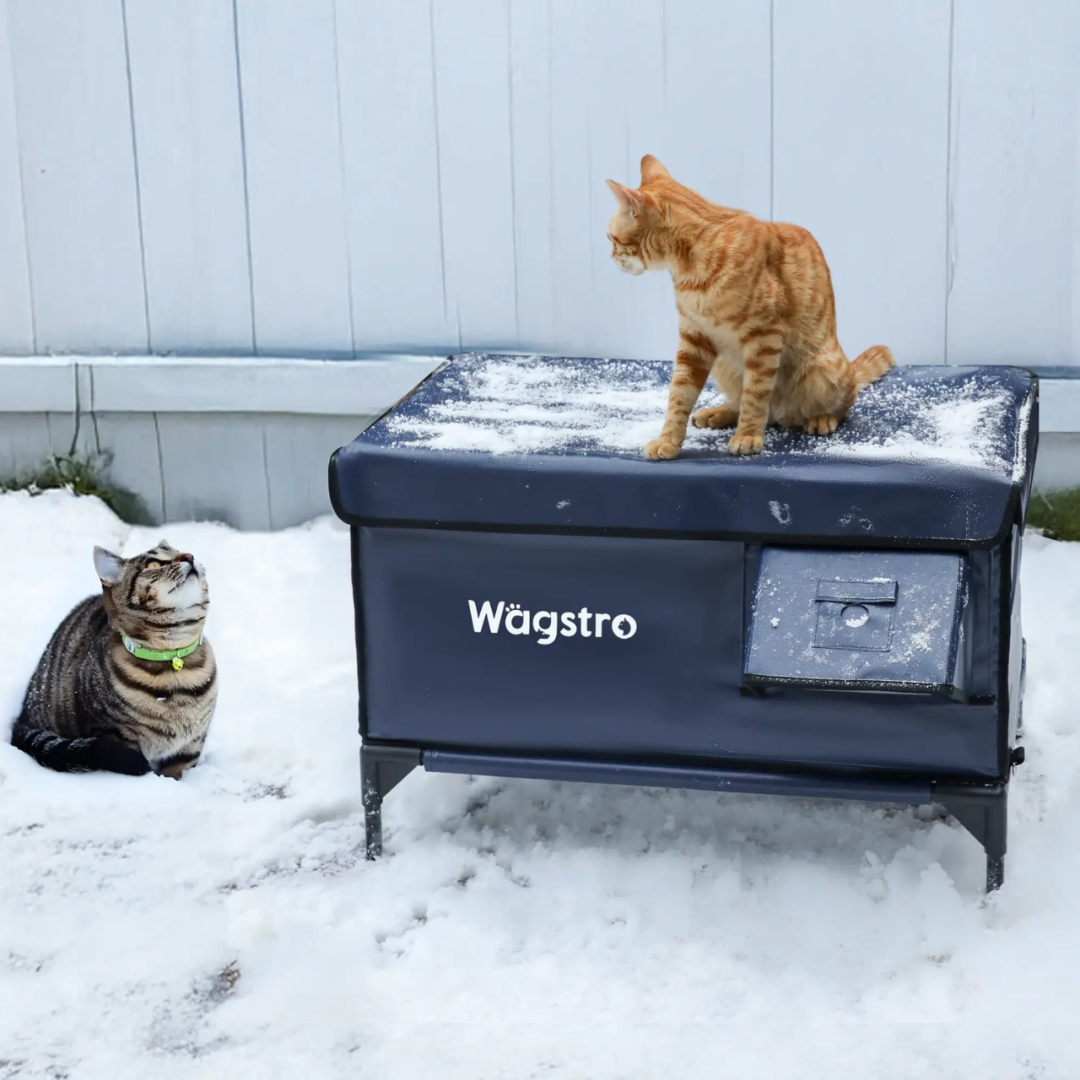 35%增长！宠物取暖赛道如何撬动百亿蓝海市场？