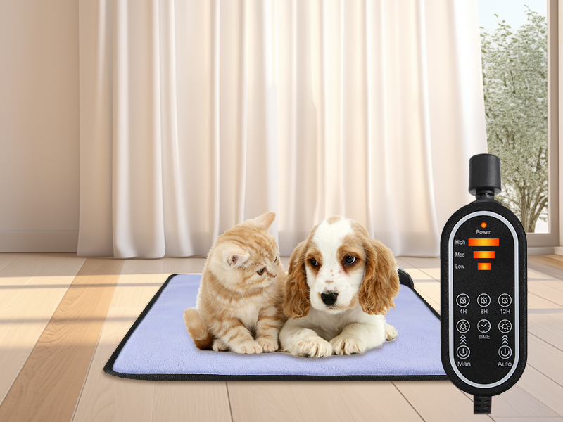 35%增长！宠物取暖赛道如何撬动百亿蓝海市场？