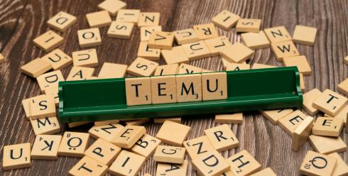 Temu春节备货2选1？正常发货未必是最优解！