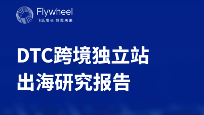 DTC跨境独立站出海研究报告