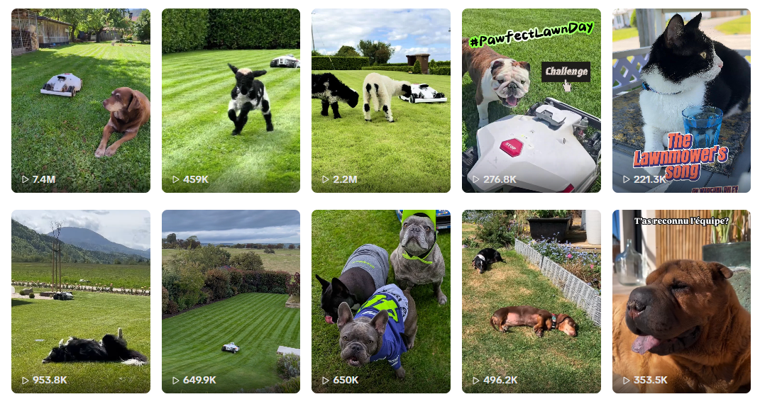 图片 年营收超5亿!大疆前高管离职创业,把智能割草机做到类目第一!