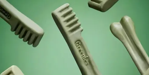 一块狗饼干年卖70亿，这个赛道在欧洲正在爆发