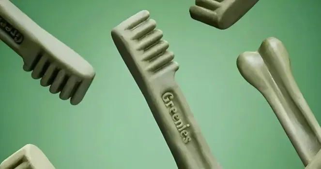 一块狗饼干年卖70亿，这个赛道在欧洲正在爆发