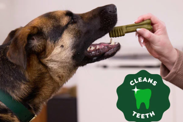 一块狗饼干年卖70亿，这个赛道在欧洲正在爆发