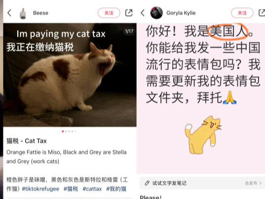 小红书一夜爆火！跨境电商、外贸工厂应不应该淌上这波“水”？