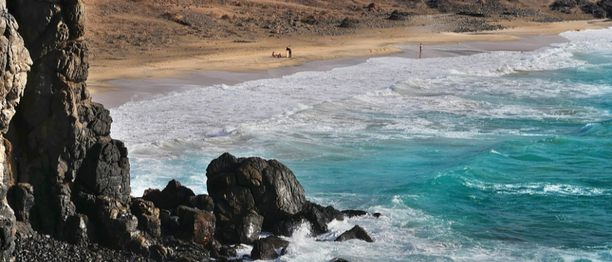 80后徽商出海,从年亏千万到营收几十亿