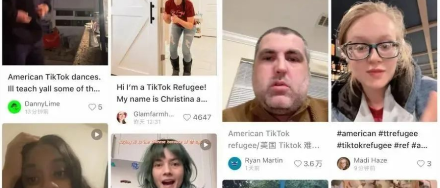 大批“TikTok难民”涌入小红书,电商人如何抓住商机?