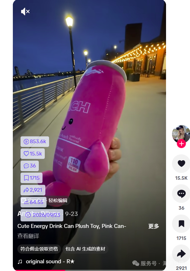 图片 跳出可爱表象:TikTok 爆款饮料罐玩偶,藏着一套可复用选品模型
