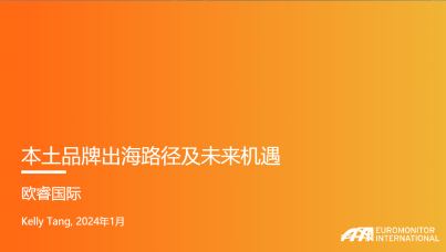 2024年本土品牌出海路径及未来机遇报告