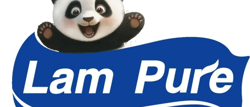 出海洞察:年同比增长超三倍,蓝漂纸品在东南亚的品质突围之路