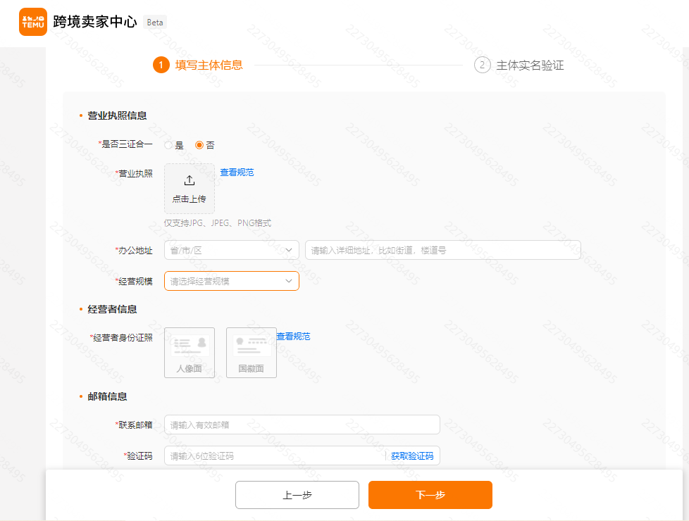 Temu半托管大陆工商信息填写页面