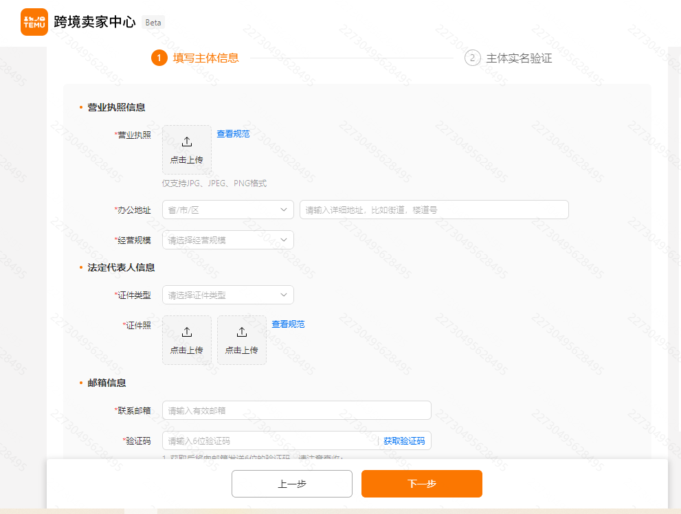 Temu半托管大陆企业信息填写