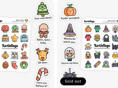 这个不起眼的独立站，如何靠贴纸月入8万美金？